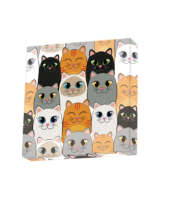Alternative view of Dotz Box Cat Clan